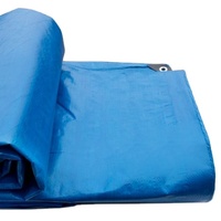 Bâche de chine PE résistante à l'eau, feuille en plastique, dure longtemps, foncée, 150g/m2, 8*12M, 6*8M, fournitures, prix