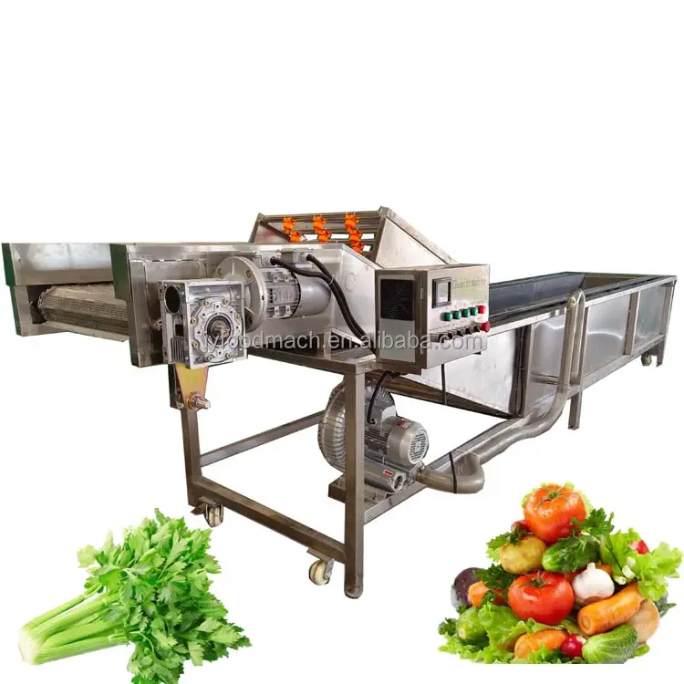2024 sıcak satış Jinyi marka endüstriyel otomatik meyve ve sebze mantar tamarind için hava ile hava kabarcık çamaşır makinesi