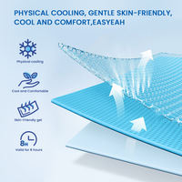 Patchs rafraîchissants hydrogel fruités hypoallergéniques, plusieurs saveurs, bonne adhérence, 12g, certifiés ISO/CE pour enfants et adultes, OEM/ODM