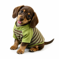 Vêtements pour Teckel Printemps Automne – Sweat-shirt rayé à deux pattes pour animaux de compagnie – Tenue chaude pour petits chiens – Pinscher miniature – Vente en gros
