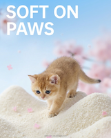 Litière pour chat en manioc de haute qualité, agglomération rapide, faible poussière, particules brisées, sable naturel pour chat, fournisseur OEM