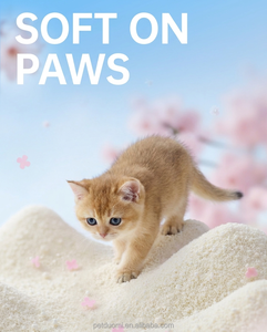 Litière pour chat en manioc de haute qualité, agglomération rapide, faible poussière, particules brisées, sable naturel pour chat, fournisseur OEM - Product Image 4