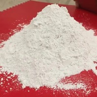 Plugging King – Matériau d'étanchéité polymère-ciment haute résistance à séchage rapide pour tuyaux et murs extérieurs