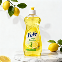 Ensemble de savons liquides écologiques pour la cuisine, détergents naturels, produits chimiques ménagers