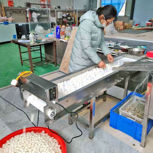 小型自動ウズラ除去ピーリング破壊機調理ライン - Product Image 4