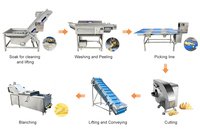 Volautomatische Industriële Schone Wortelgroene Wasverwerkingslijn/Bevroren Fruitgroente Productielijn