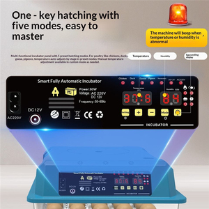 Máquina Automática de Cría de Aves de Corral con Ahorro de Energía, Incubadora de <span class=keywords><strong>Huevos</strong></span> de Alta Precisión con una Tasa de Incubación del 98% para Incubar de 6 a 230 <span class=keywords><strong>Huevos</strong></span> de <span class=keywords><strong>Gallina</strong></span> - Product Image 6