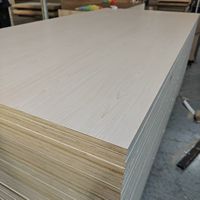 Panneau de contreplaqué de première qualité 4x8 au design populaire avec surface mélaminée pour hôtel, villa, appartement