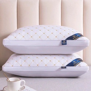 Almohada Hilton <span class=keywords><strong>de</strong></span> Lujo <span class=keywords><strong>de</strong></span> <span class=keywords><strong>5</strong></span> <span class=keywords><strong>Estrellas</strong></span>, Acolchada con Doble Forro <span class=keywords><strong>de</strong></span> Poliéster, 48*74cm, Almohada Hilton - Product Image 1
