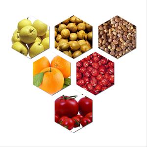 Máquina clasificadora de pomelos, cebollas y patatas de fácil operación, muy vendida, para mayoristas. - Product Image 6