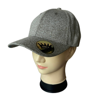 Casquette de baseball décontractée en laine mélangée grise personnalisée avec imprimé requin bleu sur la visière, style Dad Hat, OEM/ODM accepté, faible MOQ, vente en gros