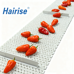 Hairise Plastic Modulaire Transportbanden Flush Grid Plastic Modulaire Band voor Koellijn - Product Image 1