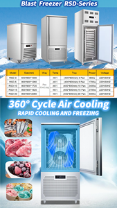 Congelador Comercial de Ultra Baja Temperatura para Vegetales y Mariscos, de 4 Bandejas, con Motor Automático y Tecnología de Congelación Rápida sin Impactos - Product Image 6