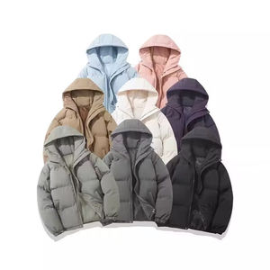 Veste d'hiver pour homme en duvet, style YZ, couleur unie, à capuche - Extérieur, OEM et ODM pris en charge - Product Image 1