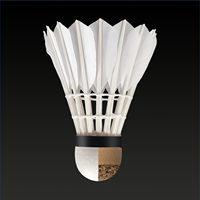 Volant de Badminton en Plumes d'Oie Droites Durables Homologué sur Mesure par le Fabricant d'Origine pour Tournoi Professionnel
