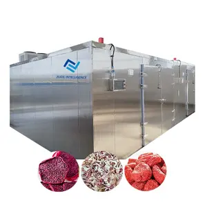 PLC heat pump fruit vegetable dryer for grape biltong drying machine long pasta dryer machine