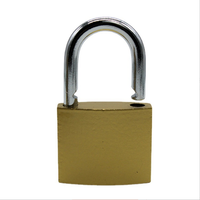 Verrou de cadenas en laiton peint, 10 pièces, 20mm-75mm, vente directe depuis l'usine