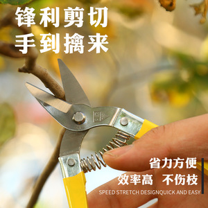 Sécatrices de taille-haie Luoding en acier inoxydable à tête droite, longueur de lame 30 mm, diamètre de coupe 10-20 mm, outils de jardinage - Product Image 5