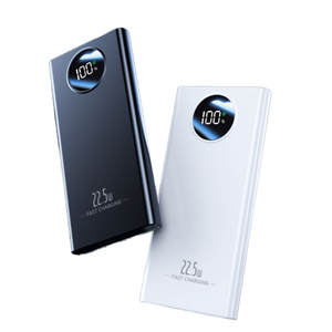 Promotions PD Power Bank 10000mAh-20000mAh Slim Family Design Dual Fast Charge LED Display USB PVC Universal Portable Charger