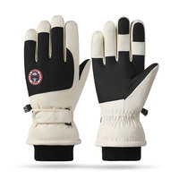 Gants imperméables coupe-vent personnalisés OEM Gants d'hiver chauds doublés en polaire antidérapants pour écran tactile pour hommes femmes Gants de ski