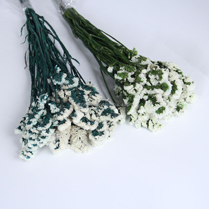 Flor Preservada Don't Forget Me, Regalo para el Día de San Valentín, Decoración de Bodas, Recuerdos de Boda, Esencial para San Valentín - Product Image 1