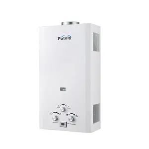 Smart Lead De Industrie Buitenshuis Huishouden Goede Kwaliteit Gas Boiler 24000w 220V Instant Badkamer Boiler Geiser Op Voorraad