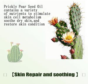 Dầu hạt Lê gai, tinh khiết và tự nhiên, ép lạnh-Thêm Trinh Nữ-Nuôi dưỡng da, chăm sóc da mặt và tóc thuần chay - Product Image 5