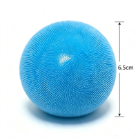 Kokosolie gevulde ronde knijpbal, transparant TPR stressverlichtend squishy speelgoed, langzaam terugverend, doorzichtig jelly fidget speelgoed voor kinderen