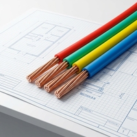 Cable Eléctrico de Cobre Aislado en PVC OEM Personalizado BV 450/750V, Embalaje con Etiqueta de Color Personalizada para Mayoristas