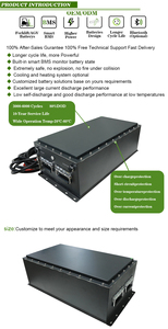 แบตเตอรี่ OEM ODM 24V 314Ah สำหรับหุ่นยนต์อุตสาหกรรมและยานพาหนะตีนตะขาบสำหรับงานหนัก - Product Image 5