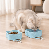 Bol en silicone pliable portable pour animaux de compagnie, bol pliable pour chiens et chats, adapté à la boisson, à l'alimentation et au camping en extérieur