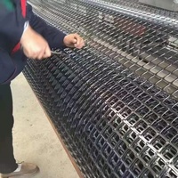 Geogrid Factory Nouveaux matériaux PP Géogrille biaxiale 30kN 40kN pour chaussées en ciment armé, travaux de terrassement et construction routière