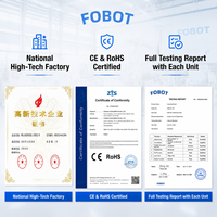 Robot Industrial de 6 Ejes FOBOT MB20-2060, Carga Útil de 20 kg, Alcance de 2060 mm, Precisión PLC, Paletización, Corte, Pulverización, IP67