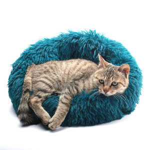 Active <strong>Pets</strong> <strong>Products</strong> Plush Calming Dog <strong>Bed</strong> Dog <strong>Bed</strong> for Small Dogs, Medium &amp; Large,Soft Fuzzy <strong>Pet</strong> <strong>Bed</strong> - Product Image 3