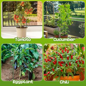 Bastoncino di pomodoro in metallo <span class=keywords><strong>per</strong></span> piante rampicanti da giardino - Product Image 6