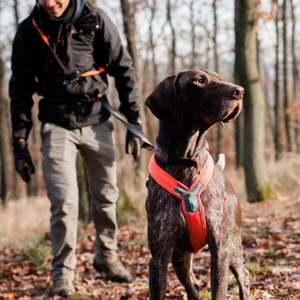 低価格プルドッグハーネス反射ナイロン調節可能イージーペットハーネス中小大型犬用ウォーキングトレーニング - Product Image 6