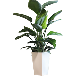 Macetas Grandes de Plástico PP de Alta Gama para Exteriores, Macetas Contemporáneas Ecológicas para Plantas Artificiales, para Uso en Centros Comerciales - Product Image 1