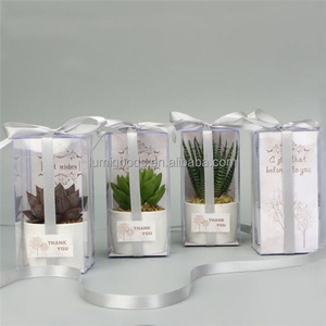 Transparent Folding Organizers Waterproof Acetate Box Plant Packaging Box