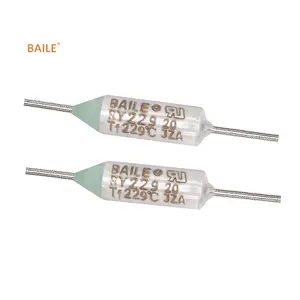 Baile TUV UL Certifications Non-Resettable Ry Series 10A 250V Fan Motor 229c Thermal Fuse