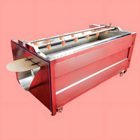 Anxu Volledig Automatische Commerciële Kokosnoot Aardappel Kiwi Rode Dadels Fruit Groente Borstel Haarroller Pomp Reinigingsmachine