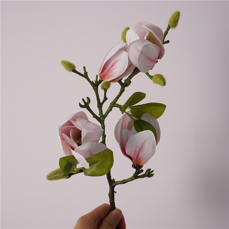 4 small magnolia-pink