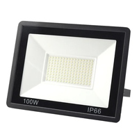 Reflector LED de Aluminio Fundido a Presión, IP65 Impermeable, 50W-300W, Iluminación de Seguridad para Exteriores