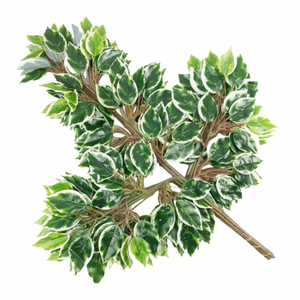Groene Bladeren Plastic Banyan Bladeren Ficus Tak Voor Landschapsdecoratie Kunstmatige Vetplanten Planten - Product Image 2
