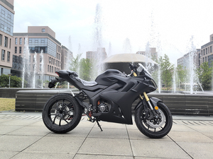 Motocicleta de Carreras de Alta Velocidad para Adultos, 5000W 10000W 15000W, Tamaño Completo, en Venta - Product Image 4