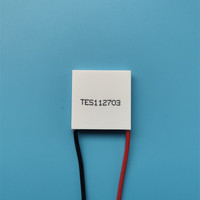 Module Peltier 30x30, module de refroidissement thermoélectrique TES112703 TES112704 12V, module de condensation semi-conducteur