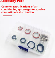 Adaptateur de test de fuite de climatisation, kit de réparation de détection de fuite en laiton pour système de climatisation, outils de détection de fuite