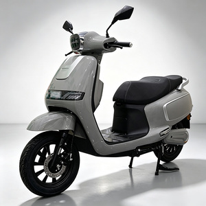 Motocicleta Eléctrica Deportiva para Exteriores CKD SKD de 12 Pulgadas, 1100/1300W, Velocidad de 60 km/h, Motocicleta Eléctrica para Adultos, Compre Bicicletas Eléctricas en China - Product Image 6