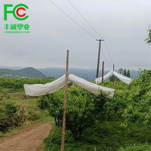 Trong Suốt PE Tarpaulin/Lưới <span class=keywords><strong>Polyethylene</strong></span> Tarps Tấm/Dệt Tarpaulin Cuộn Trong Suốt Từ Trung Quốc Nhà Máy - Product Image 5