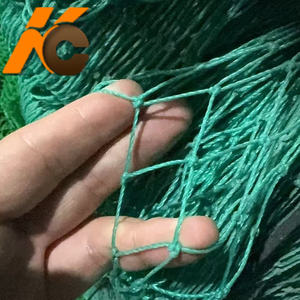 <span class=keywords><strong>Hdpe</strong></span> uv-מייצב אש בטיחות זכוכית רשת מרפסת העליון רשת נגד ציפור אנטי ציפור - Product Image 2