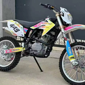 Moto tout-terrain 250cc M4, puissante, sans balais, performances élevées, vitesse >80 km/h, pour toutes les conditions routières, robuste et durable - Product Image 1